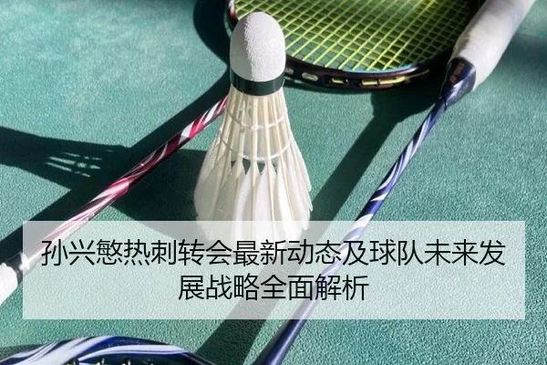 孙兴慜热刺转会最新动态及球队未来发展战略全面解析
